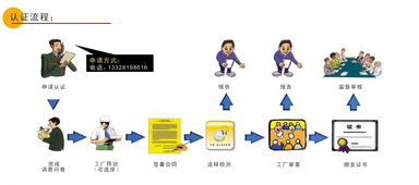 欧盟CE认证指南 流程、机构选择与南京倍晟咨询中心的服务优势